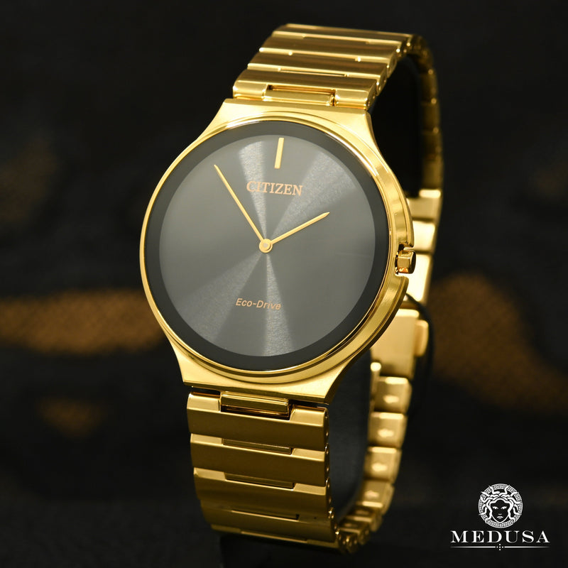 Montre Citizen | Montre Homme Citizen Stiletto AR3112-57E Or Jaune