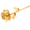 Bijoux Medusa | Article Divers Forever Golden Rose 24K