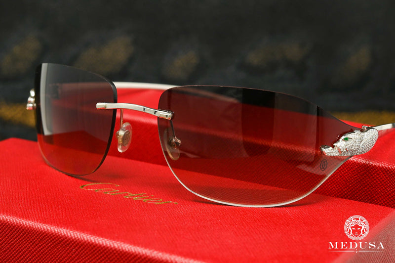 Lunette Cartier | Lunette Homme Cartier Panthère | Silver Stainless