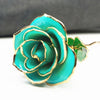 Bijoux Medusa | Article Divers Forever Golden Rose 24K Cyan